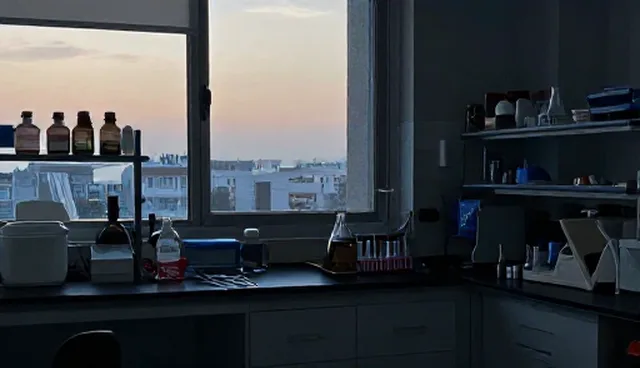 活动策划的适用条件如何影响整体效果